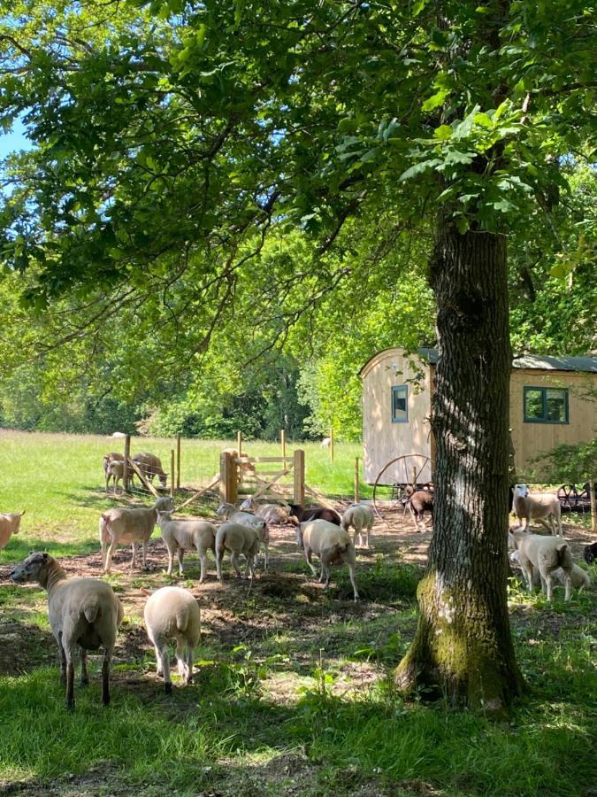 Coachroad Shepherds Huts Petworth Exterior foto